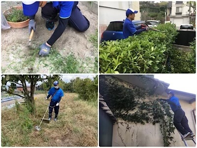 草取り、剪定、草刈り機で草刈り、ツタ取り