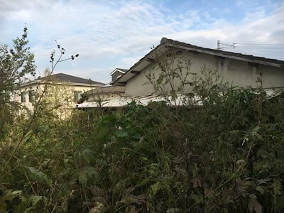 放置され草ボウボウのご実家