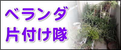 【便利屋】暮らしなんでもお助け隊 福岡赤坂店にて何でも屋・便利屋サービス「ベランダ片付け隊」は、遠く離れた福岡のご実家のベランダを片付けるサービスを行っています。高齢者は、植木鉢やプランターに植物を植えベランダに置くケースが大変多く、多量の植木鉢やプランター、そして土が排出されます。