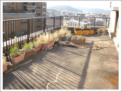 家一軒丸ごと【便利屋】暮らしなんでもお助け隊 福岡赤坂店　ベランダ植木鉢片付け施工前