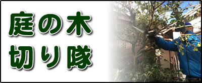 【便利屋】暮らしなんでもお助け隊 福岡赤坂店にて何でも屋・便利屋サービス「庭の木切り隊」は、遠く離れた福岡のご実家が空き家となり、お庭でボウボウに伸びた庭木の伐採、庭木の剪定を行っています。さらに庭にある倉庫の片付けなども行っています。その他、福岡のご実家・ご両親の心配事・お困り事何でも解決しています。ご相談ください。